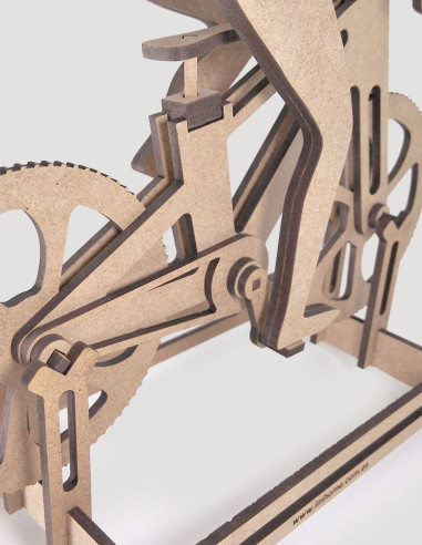 Trofeo ciclista MTB mujer